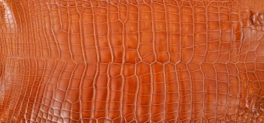 Çok lüks bir timsah derisi. Tekstil endüstrisinde kullanılır.