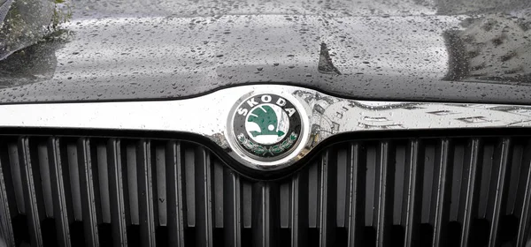 Skoda Króm Fém Logó Luxus Autó Isztambul Város Március 2012 — Stock Fotó