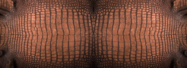 Zeer Luxe Krokodillenleer Textuur Gebruikt Textielindustrie Originele Huid — Stockfoto