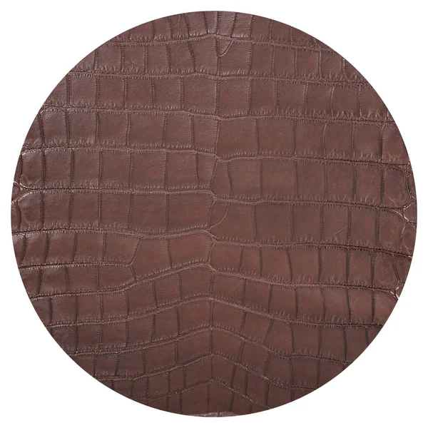 Texture Cuir Crocodile Très Luxueuse Utilisée Dans Industrie Textile Peau — Photo