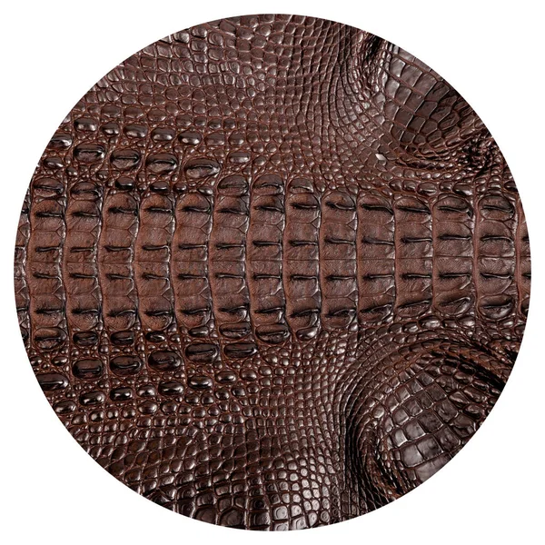 Texture Cuir Crocodile Très Luxueuse Utilisée Dans Industrie Textile Peau — Photo