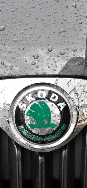 Logotipo Metal Cromado Skoda Coche Lujo Ciudad Estambul Gota Agua —  Fotos de Stock