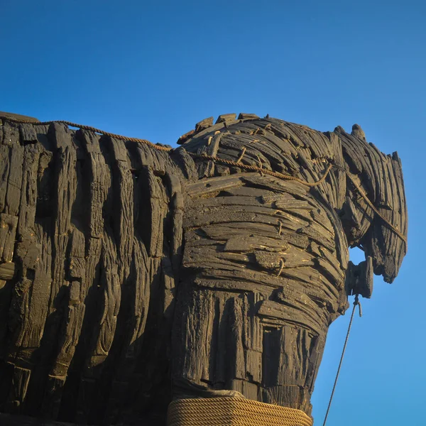 Cheval Troie Canakkale Cheval Bois Est Film Troy Été Donné — Photo