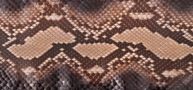 Doğal yılan derisi lüks kıyafetler ve aksesuarlar için kullanılır, arka plan için uygundur.