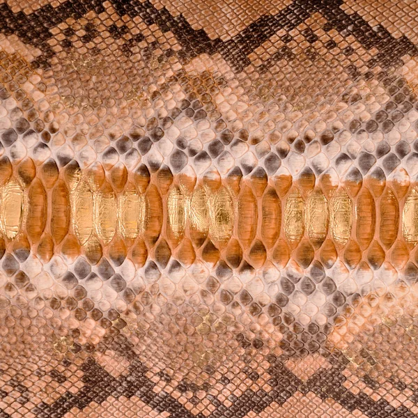 天然蛇皮用于高档服装和配饰 适合背景 — 图库照片