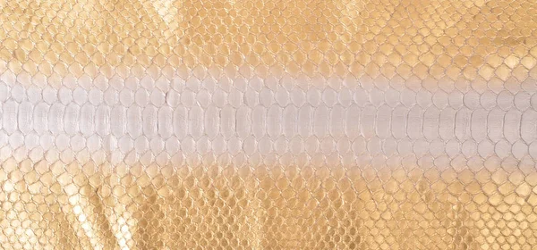 Természetes Kígyó Bőr Használják Luxus Ruhák Kiegészítők Alkalmas Háttér — Stock Fotó