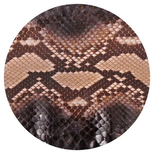 Natuurlijke Slangenhuid Wordt Gebruikt Voor Luxe Kleding Accessoires Geschikt Voor — Stockfoto