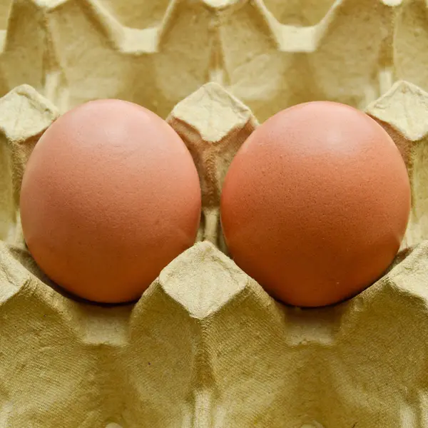Huevos Marrones Orgánicos Frescos Paquete Caja Cartón Caja Huevos Amarillos —  Fotos de Stock