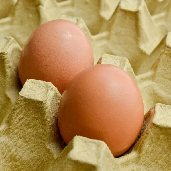 Huevos Marrones Orgánicos Frescos Paquete Caja Cartón Caja Huevos Amarillos —  Fotos de Stock