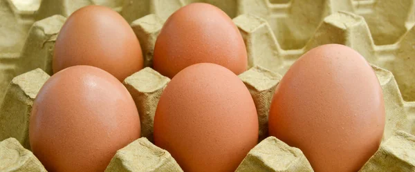 Huevos Marrones Orgánicos Frescos Paquete Caja Cartón Caja Huevos Amarillos — Foto de Stock