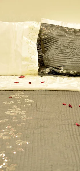 Комфортабельный Современный Стильный Ищет Роскошные Подушки Кровать — стоковое фото