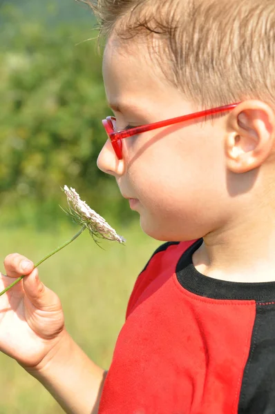 Boy smelling flowers — Stock Photo, Image