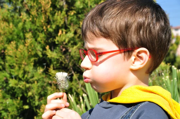 Kid blowing dandelion — Stock Photo, Image