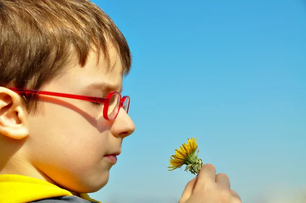 Kid blowing dandelion — Stock Photo, Image