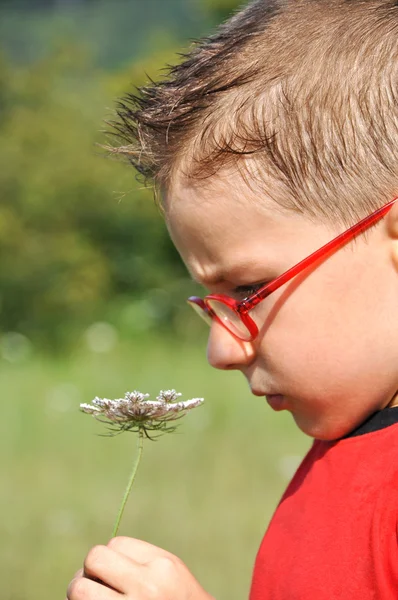 Chlapec vonící květy — Stock fotografie