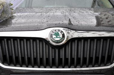 Skoda sembolü