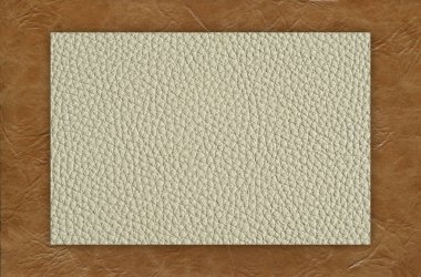 Taklit sığır derisi bej ve gri desen yakın plan, herhangi bir tasarım çalışması için kullanışlı