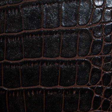 Taklit timsah derisi siyah ve kahverengi desen yakın plan, herhangi bir tasarım çalışması için kullanışlı