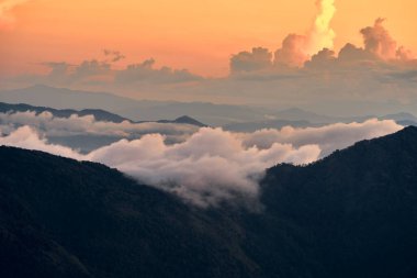 Doi Inthanon Dağı üzerinde sis, Chiangmai Tayland.