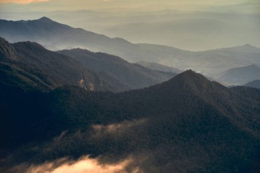 Doi Inthanon Dağı üzerinde sis, Chiangmai Tayland.