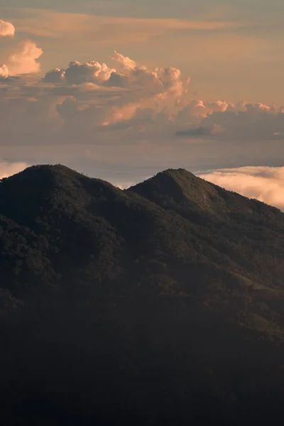 Dimma över Doi Inthanon berget, Chiangmai Thailand. — Stockfoto