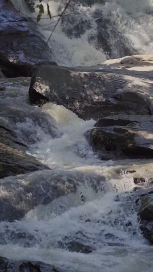 Pionowe wideo wodospadu w parku narodowym — Wideo stockowe