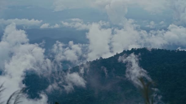 Вид на горы в национальном парке Дой-Пуй, провинция Чиангмай — стоковое видео