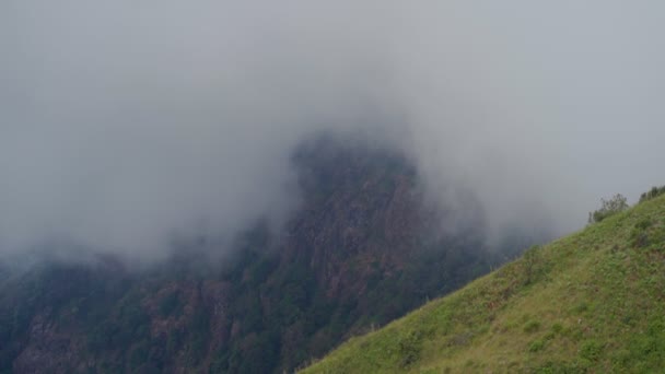 Dağdaki bulutlar. Doi Inthanon 'da sis tepede yüzüyor, Chiang Mai — Stok video