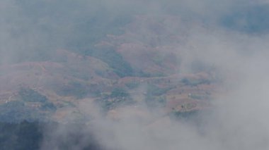 Dağdaki bulutlar. Doi Inthanon 'da sis tepede yüzüyor, Chiang Mai