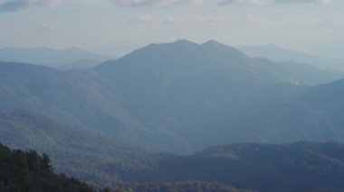 Dağdaki bulutlar. Doi Inthanon 'da sis tepede yüzüyor, Chiang Mai