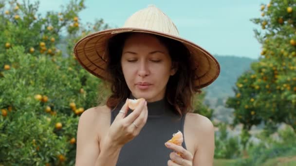 Una turista se para en un jardín naranja con un sombrero vietnamita y se come una naranja pelada de un árbol — Vídeos de Stock