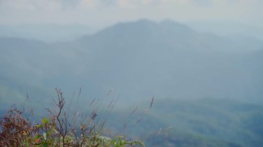 Dağdaki bulutlar. Doi Inthanon 'da sis tepede yüzüyor, Chiang Mai