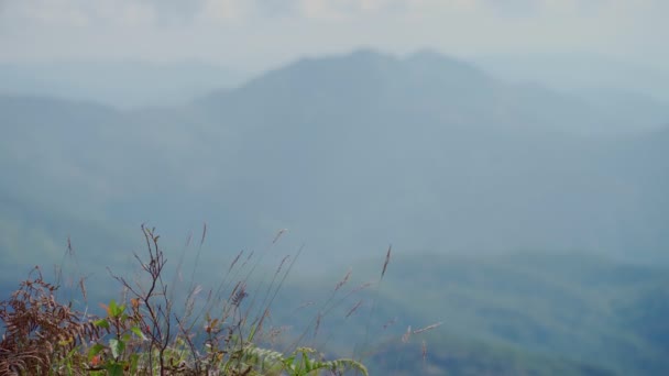 Wolken in de bergen. mist drijft over de heuvels in Doi Inthanon, Chiang Mai — Stockvideo