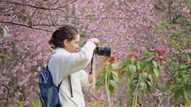 Una fotógrafa toma fotos en el jardín de sakura — Vídeo de stock