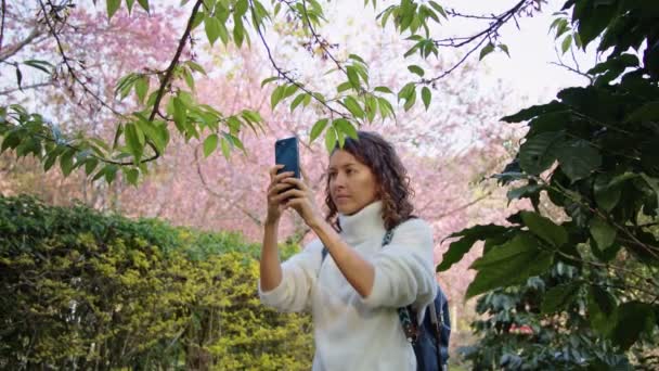 Fotografka fotí v sakura zahradě — Stock video