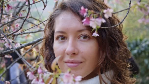 Nahaufnahme Porträt eines hübschen Mädchens im Park mit blühenden japanischen Sakura-Bäumen. Romantische junge Brünette in weißem Pullover posiert vor dem Hintergrund frühlingsblühender Bäume. Kirschblüten — Stockvideo