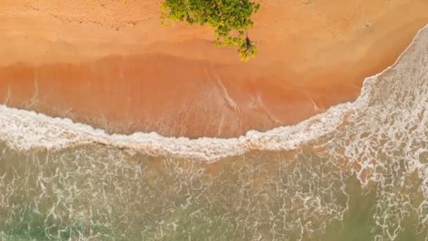 Empty Ocean View from above — Stock Video