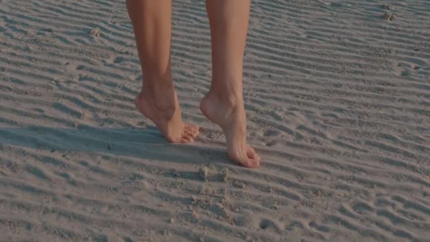 Smala kvinnliga ben och fötter går på sandstrand efter lågvatten — Stockvideo