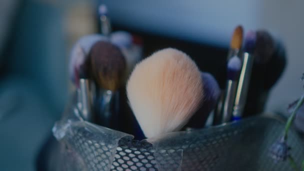 Cepillos y herramientas de maquillaje profesional — Vídeo de stock