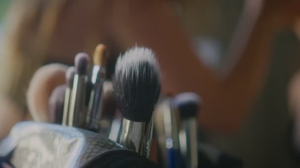 Profesjonalne szczotki do makijażu i narzędzia — Wideo stockowe