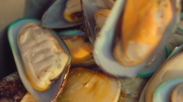 Close-up of mussels for cooking on the fire. Delicacy food ready for barbecue outdoors — Stock Video