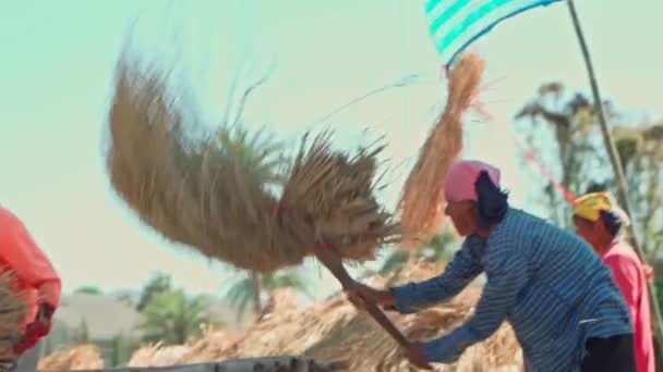 Pai, Tailândia, 15 de dezembro de 2020, Agricultores batendo arroz seco cru paddy para coletar sementes de arroz no chão — Vídeo de Stock