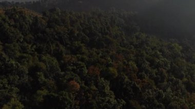 Gün doğarken ormanın üzerinde uçmak Tayland 'daki dağlarda Pai' de