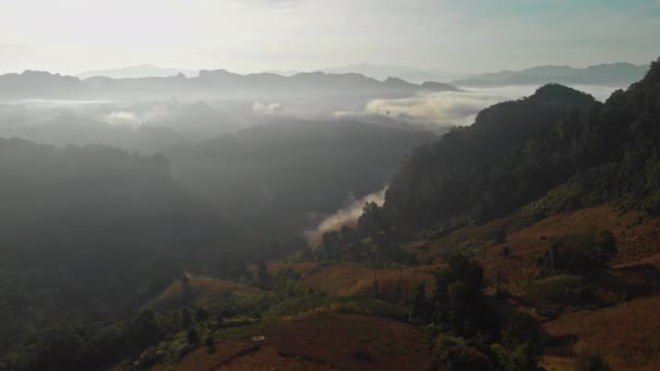 타이의 산악 지대에 있는 파이에서 아침해 가 뜨는 동안 밀림 상공을 나는 모습 — 비디오