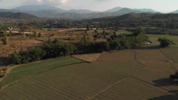 Letecké záběry rýžových polí v Pai v Thajsku. Malé chatrče jsou roztroušeny po polích, a velké pohoří je v pozadí — Stock video