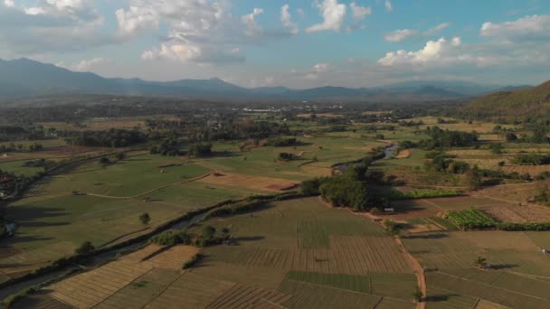 Aerial footage of rice paddies in Pai, Thailand. Small huts are scattered throughout the paddies, and a large mountain range is in the background — Stock Video