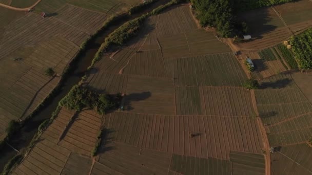 Aerial footage of rice paddies in Pai, Thailand. Small huts are scattered throughout the paddies, and a large mountain range is in the background — Stock Video