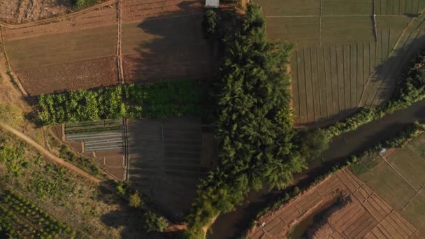 Filmagem aérea de arrozais em Pai, Tailândia. Pequenas cabanas estão espalhadas por todos os paddies, e uma grande gama de montanhas está no fundo — Vídeo de Stock