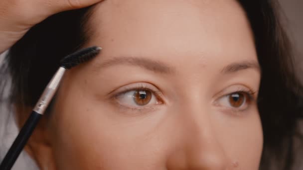 Wanita master di salon kecantikan bekerja pada ekstensi bulu mata untuk klien. Profesi di bidang jasa kecantikan — Stok Video