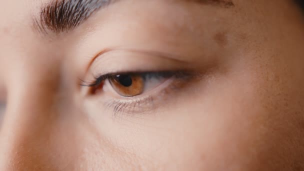 Die Meisterin im Schönheitssalon arbeitet an der Wimpernverlängerung für den Kunden. Beruf im Bereich der Schönheitsdienstleistungen — Stockvideo